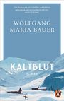 Oben steht: „Ein Roman wie ein Lichtblitz...“ von Moritz Rinke. Unten sieht man schneebedeckte Hütten und Berge.