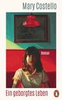 "Mary Costello", "Ein geborgtes Leben", "Roman". Gemälde einer Frau in rotem Raum, mit roter Lampe über ihr.