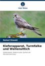 Nahed Shawki: Kieferapparat, Turmfalke und Wellensittich, Buch