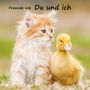 Chantal Schlatter: Freunde wie du und ich - das beste Freundebuch weit und breit, Buch