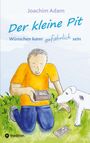 Joachim Adam: Der kleine Pit - Wünschen kann gefährlich sein, Buch