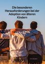 Pia Hauser: Die besonderen Herausforderungen bei der Adoption von älteren Kindern, Buch