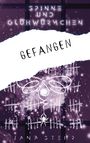 Jana Stehr: Spinne und Glühwürmchen: Romantische und zerreißende Dystopie, Buch