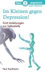 Paul Kaufmann: Im Kleinen gegen Depression!, Buch