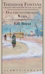 Theodor Fontane: Das erzählerische Werk 15. Effi Briest, Buch