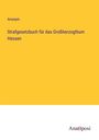 Anonym: Strafgesetzbuch für das Großherzogthum Hessen, Buch