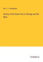 Rev. E. J. Goodspeed: History of the Great Fires in Chicago and the West, Buch