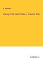 E. Ruttenbe: History of the Indian Tribes of Hudson's River, Buch