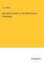 A. L. Wister: Why did he not die? or, The Child from the Ebräergang, Buch