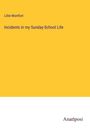 Lillie Montfort: Incidents in my Sunday-School Life, Buch