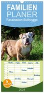 Elisabeth Stanzer: Familienplaner 2024 - Faszination Bulldogge mit 5 Spalten (Wandkalender, 21 x 45 cm) CALVENDO, KAL