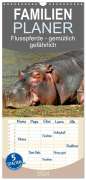 Peter Roder: Familienplaner 2024 - Flusspferde - gemütlich gefährlich mit 5 Spalten (Wandkalender, 21 x 45 cm) CALVENDO, KAL