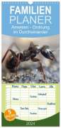 Peter Roder: Familienplaner 2024 - Ameisen - Ordnung im Durcheinander mit 5 Spalten (Wandkalender, 21 x 45 cm) CALVENDO, KAL