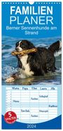 Sigrid Starick: Familienplaner 2024 - Berner Sennenhunde am Strand mit 5 Spalten (Wandkalender, 21 x 45 cm) CALVENDO, KAL