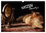 Viktor Gross: KATZEN Beautys (Wandkalender 2024 DIN A3 quer), CALVENDO Monatskalender, KAL
