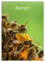 Mark Bangert: Bienen (Tischkalender 2024 DIN A5 hoch), CALVENDO Monatskalender, KAL