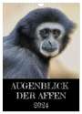 Hamburg Mirko Weigt: Augenblick der Affen 2024 (Wandkalender 2024 DIN A4 hoch), CALVENDO Monatskalender, KAL