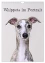 Petra Hofmann: Whippets im Portrait (Wandkalender 2024 DIN A4 hoch), CALVENDO Monatskalender, KAL