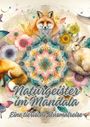 Diana Kluge: Naturgeister im Mandala, Buch