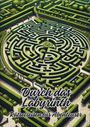 Ela Artjoy: Durch das Labyrinth, Buch