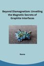 Nama: Beyond Diamagnetism: Unveiling the Magnetic Secrets of Graphite Interfaces, Buch