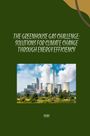 Shah: The Greenhouse Gas Challenge: Solutions for Climate Change Through Energy Efficiency, Buch
