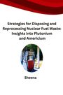 Sheena: Strategies for Disposing and Reprocessing Nuclear Fuel Waste: Insights into Plutonium and Americium, Buch