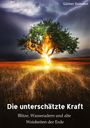 Günter Dahmen: Die unterschätzte Kraft, Buch