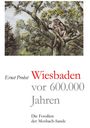 Ernst Probst: Wiesbaden vor 600.000 Jahren, Buch