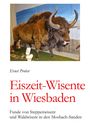 Ernst Probst: Eiszeit-Wisente in Wiesbaden, Buch