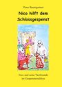 Peter Baumgartner: Nico hilft dem Schlossgespenst, Buch