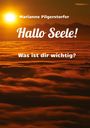 Marianne Pilgerstorfer: Hallo Seele, Buch