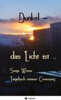 Auf dem Cover steht: "Dunkel – das Licht ist ... Sonja Weise Tagebuch meiner Genesung" vor einem Sonnenuntergang.