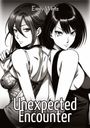 Emily White: Unexpected Encounter, Buch