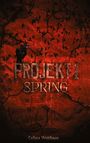 Celina Weithaas: Spring - Projekt I, Buch