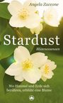 Angela Zaccone: Stardust, Buch
