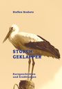 Steffen Brabetz: Storchgeklapper, Buch