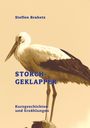Steffen Brabetz: Storchgeklapper, Buch