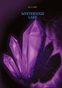 Ally Lake: Mysterious Lake, Buch