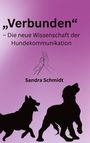 Sandra Schmidt: Verbunden, Buch