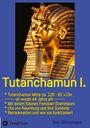 Uta Shirenaya: Tutanchamun, Buch