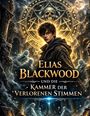 Dominik Mikulaschek: Elias Blackwood und die Kammer der verlorenen Stimmen, Buch
