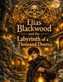 Eine Illustration zeigt „Elias Blackwood and the Labyrinth of a Thousand Doors“, jung, Lantern in der Hand, mystische Türen.