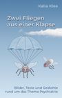 Kalia Klee: Zwei Fliegen aus einer Klapse, Buch