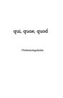 Uwe Schmidt: qui, quae, quod, Buch