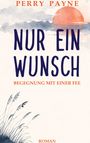 „Perry Payne: Nur ein Wunsch. Begegnung mit einer Fee. Roman.“ Illustration mit Sonnenuntergang und Gräsern.