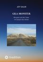 "Jeff Sailor: GILA-MONSTER. Wrozeck und die Toten im Canyon der Ahnen." Ein Berg in der Wüste unter blauem Himmel.
