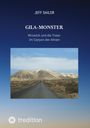 Jeff Sailor, Gila-Monster, Wrozeck und die Toten im Canyon der Ahnen. Eine Straße führt durch eine Wüstenlandschaft.