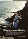 „Shirenaya von Atlantis“ und weitere Texte, Frau in weißem Kleid am Meer, felsige Küste, sanfte Wellen.