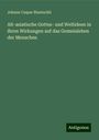 Johann Caspar Bluntschli: Alt-asiatische Gottes- und Weltideen in ihren Wirkungen auf das Gemeinleben der Menschen, Buch